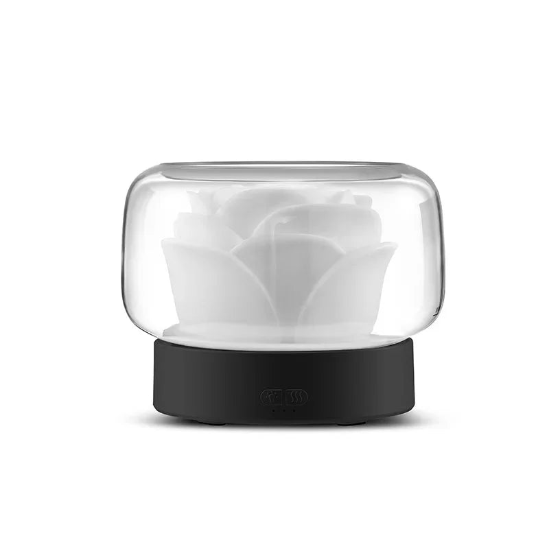 DIFFUSEUR HUILES ESSENTIELLES