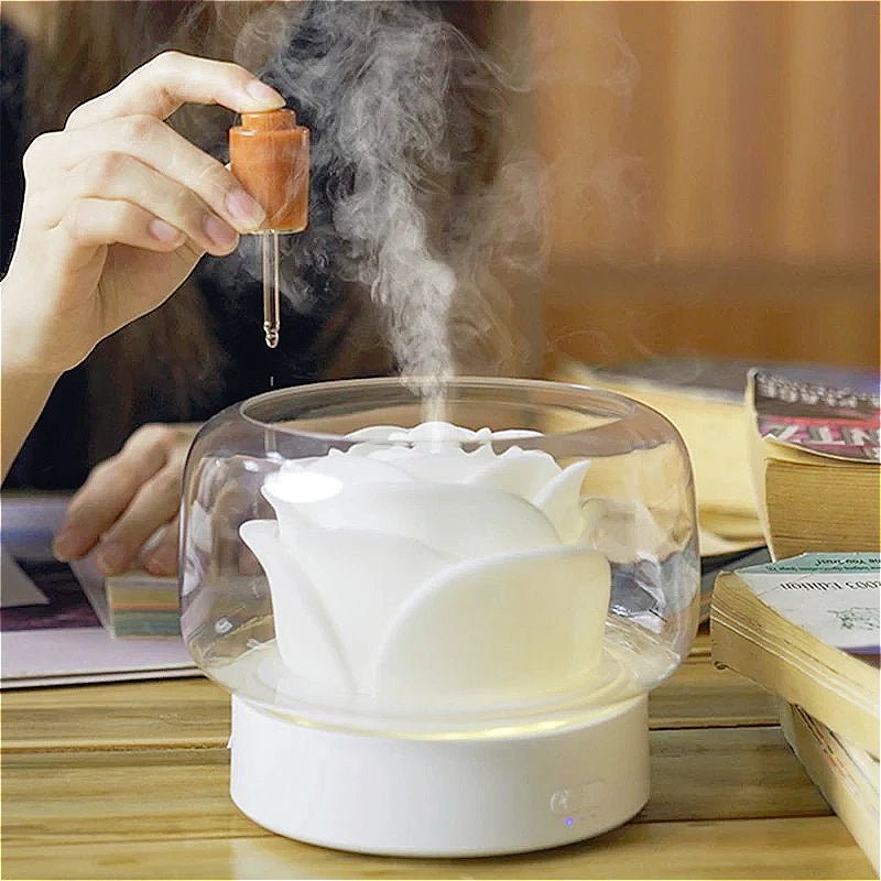 DIFFUSEUR HUILES ESSENTIELLES