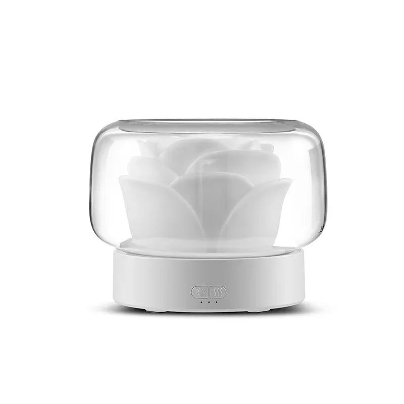 DIFFUSEUR HUILES ESSENTIELLES