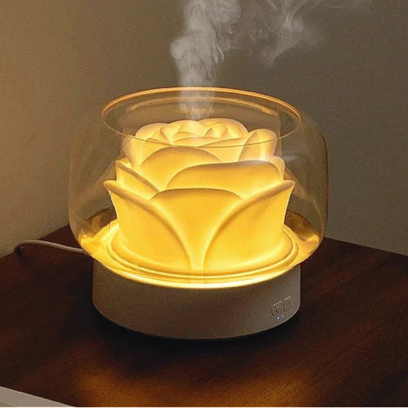 DIFFUSEUR HUILES ESSENTIELLES